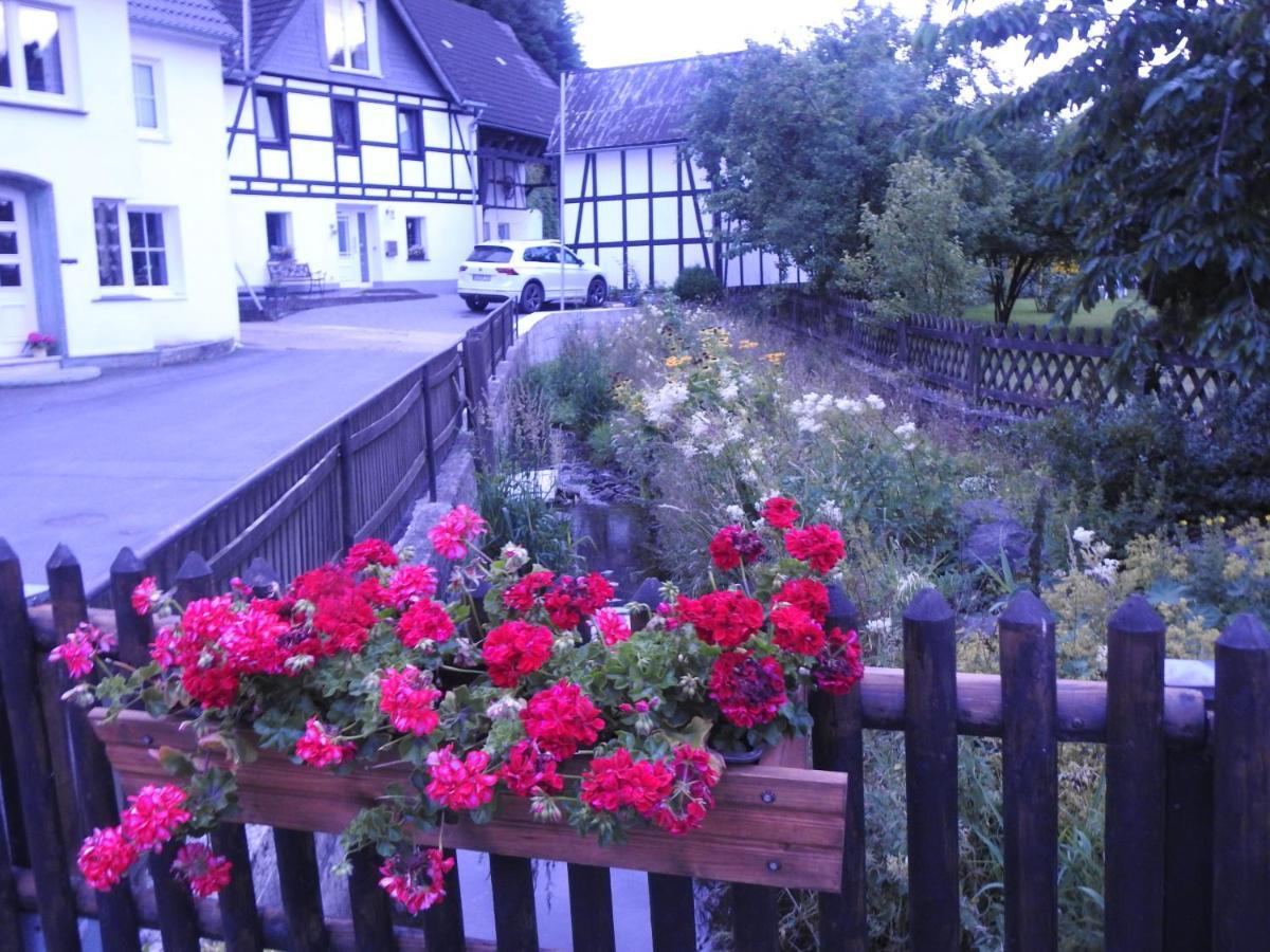 Bergblick Apartment Medebach Exterior foto
